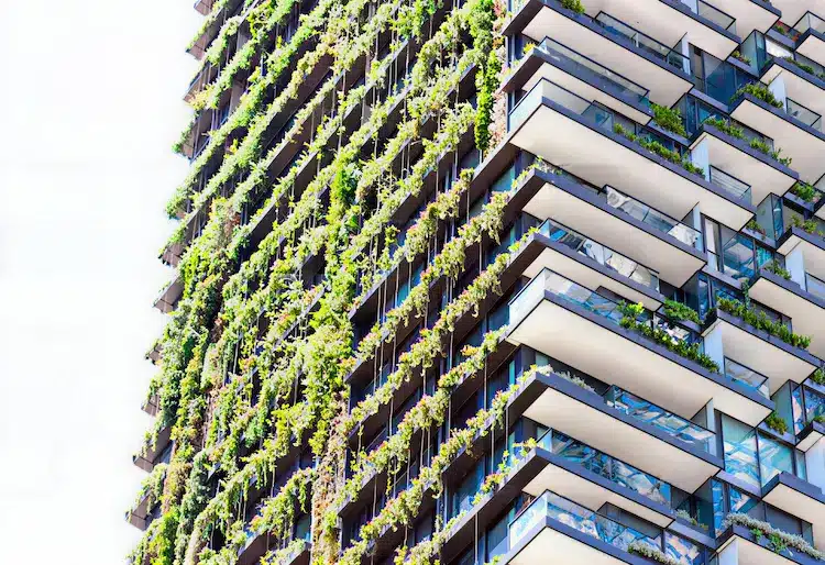 Green Building Living Facades