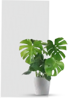 Visible Light Transmittance 60%