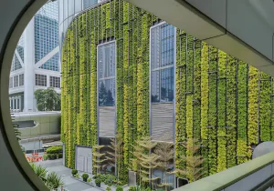 Living Façades Supported by Aluminum Curtain Walls