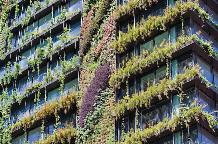 Living Façades in Green Buildings