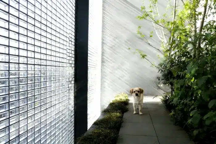 Indoor-Outdoor Fluidity